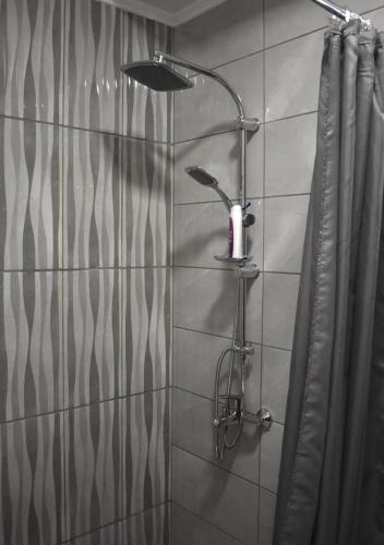 a shower with a shower head in a bathroom at Apartmani Zrenjanin in Zrenjanin