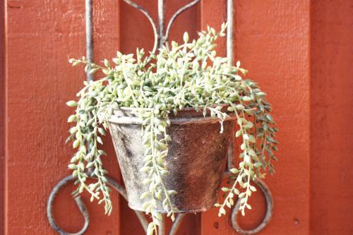 a plant in a pot hanging on a wall at Kumlinge Stugor in Kumlinge