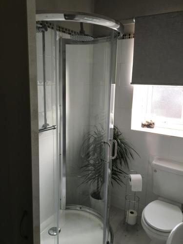 a shower in a bathroom with a toilet and a plant at Twenty Seven Steps in Hebden Bridge