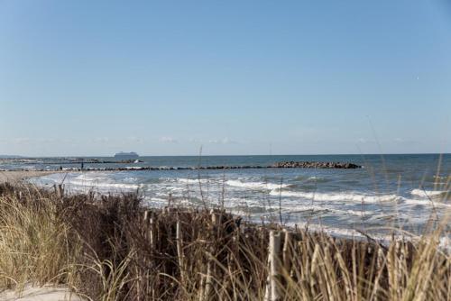 a beach with rocks in the water and grass at Hotel Strandräuber in Kalifornien