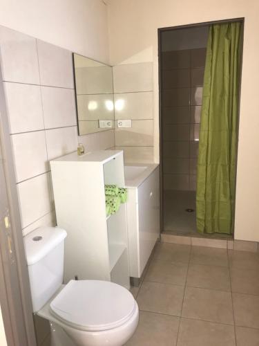 a bathroom with a toilet and a shower at Apartment QUINTA DE AREIAS in Crespos