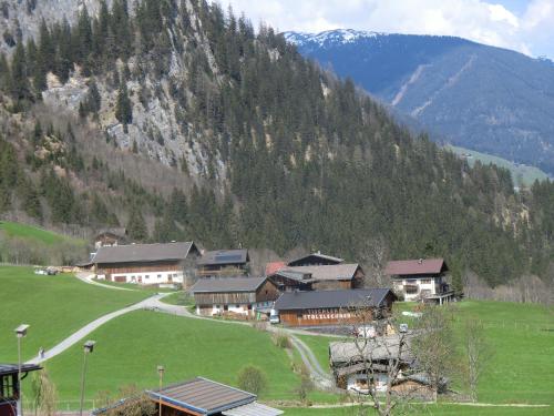 a group of buildings in a field in front of a mountain at Veitenhof in Krimml