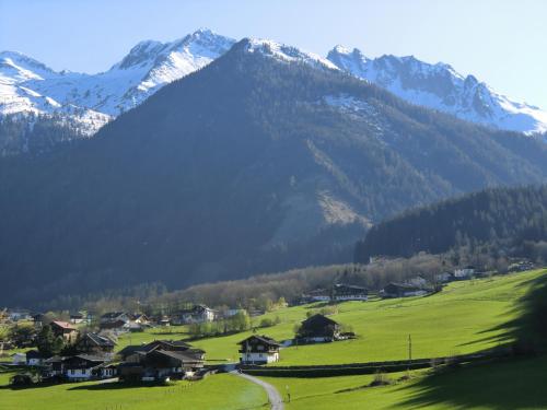 a village in a field with a mountain in the background at Veitenhof in Krimml