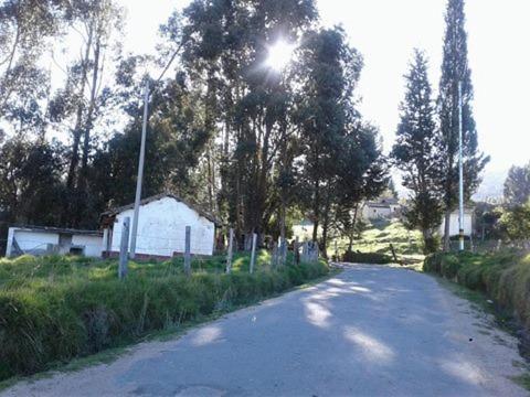 a dirt road with trees and a house on the side at Casa En El Árbol Con Sauna somos PETFRIENDLY in Pesca