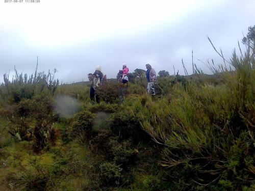a group of people walking up a grassy hill at Casa En El Árbol Con Sauna somos PETFRIENDLY in Pesca