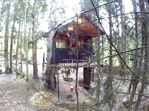a tree house in the middle of a forest at Casa En El Árbol Con Sauna somos PETFRIENDLY in Pesca