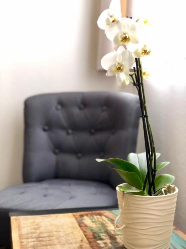 a vase with white flowers on a table next to a chair at Familia in Český Krumlov