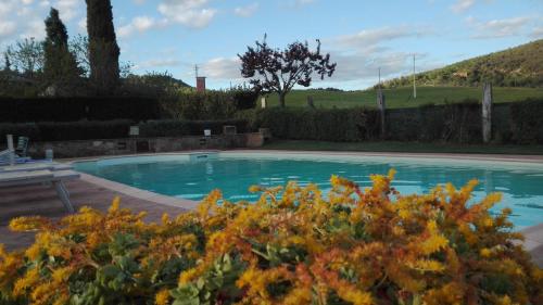 a swimming pool in a yard with flowers at Agriturismo Casalpiano in Pienza