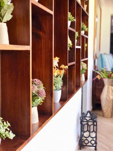 a wooden shelf with potted plants on it at La Leyenda Boutique Hotel by Bunik in Playa del Carmen