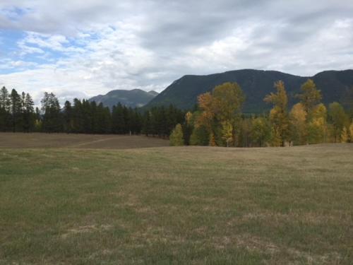 a large open field with trees and mountains in the background at Glacier Homestead in Coram