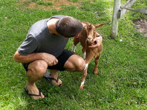 a man is petting a baby goat in the grass at Hotel Fazenda São Moritz in Teresópolis