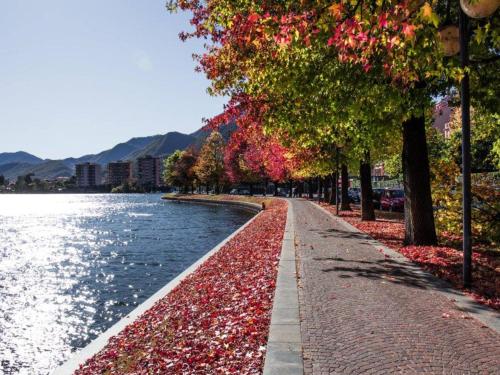 a sidewalk next to a river with trees and autumn leaves at B&B la cruna deLago in Omegna