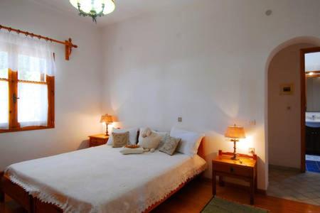 A bed or beds in a room at Viĺla elisabetta