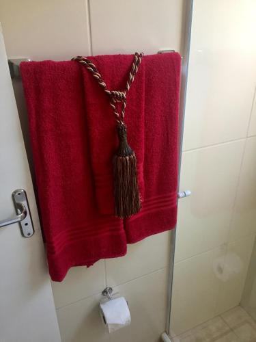 a red towel is hanging in a shower at Apartamento Cantinho da Serra in Nova Friburgo
