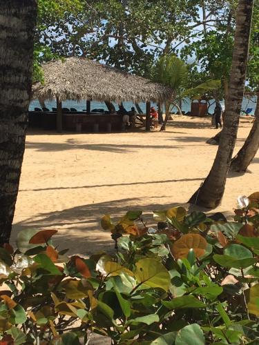 a view of a beach with trees and a hut at Your Second Home Away in Las Terrenas
