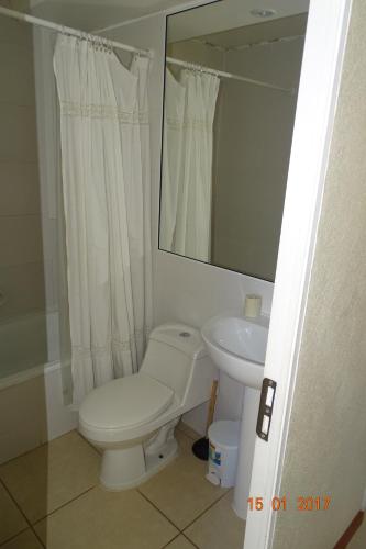 a bathroom with a toilet and a sink and a mirror at Departamento 102 Alicante in Papudo