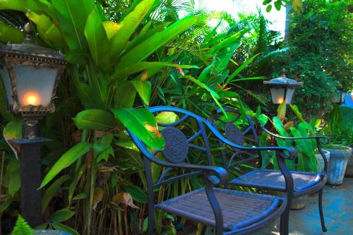 Ein Garten an der Unterkunft Hotel Villa Highnest - Oragadam -Sriperumbudur