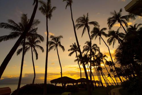 a group of palm trees on the beach at sunset at Hyatt Vacation Club at Ka'anapali Beach in Lahaina