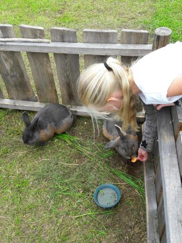 a woman feeding two rabbits next to a fence at Kauksi Puhkemaja in Kauksi
