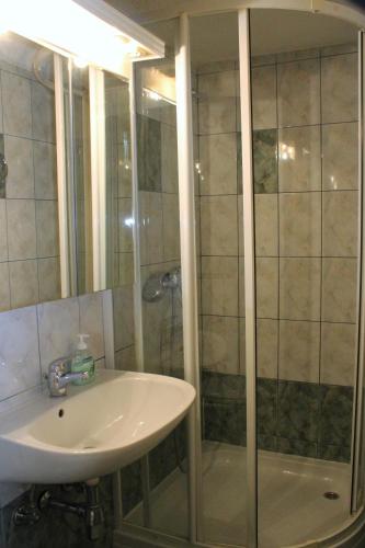 a bathroom with a sink and a shower at Rooms Jurca in Postojna
