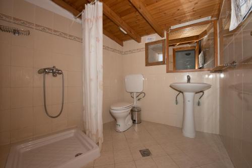 a bathroom with a shower and a toilet and a sink at Villa Petros in Symi
