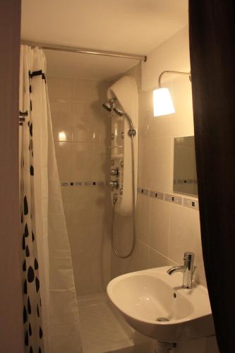 une salle de bain avec une douche et un lavabo et une douche dans l'établissement Gite Pré Février, à Saint-Loubès