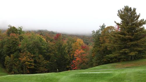 a green hill with trees in the background at Trailside Inn in Killington