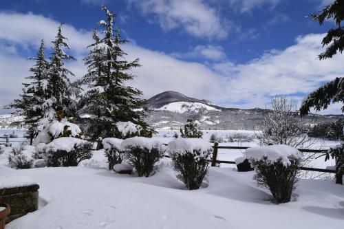 un cortile coperto da neve con una recinzione e un albero di Hotel Holidays a Roccaraso