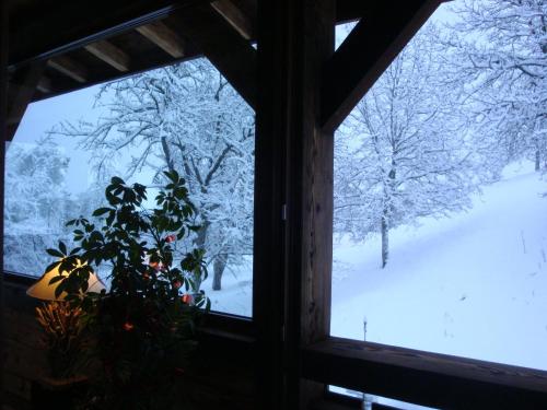 a window with a view of a snow covered tree at Chambres d'Hôtes Chalet de la Source in Morillon