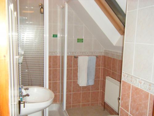 un bagno con doccia e lavandino di Ashfield B&B a Kenmare