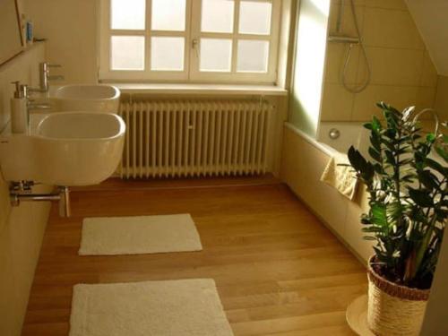 a bathroom with two sinks and a potted plant at BUKL29001-FeHaus-Grothhuus in Fehmarn