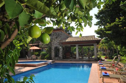 a swimming pool with chairs and a gazebo at La Buena Vibra Retreat and Spa Hotel in Tepoztlán