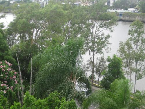 a view of the river from the balcony of a building at Fairthorpe Apartments in Brisbane