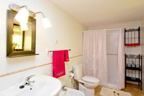 een badkamer met een toilet, een wastafel en een spiegel bij Casa Rural Quilero in Fago