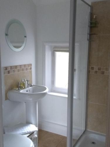 a bathroom with a sink and a shower at The Old Rectory Bed and Breakfast in Ruthin