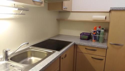 une cuisine avec un évier et un plan de travail dans l'établissement Happy Stay Apartment, à Bad Mitterndorf