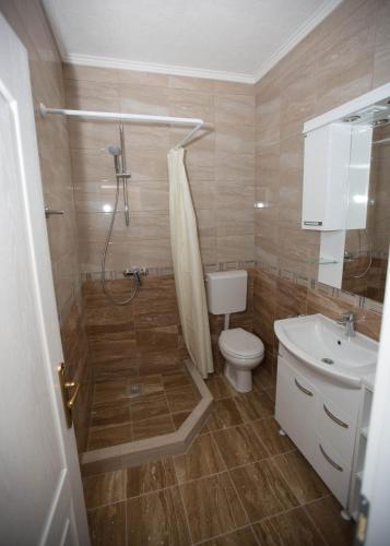 a bathroom with a shower and a toilet and a sink at Apartments Phoenix in Ivanica