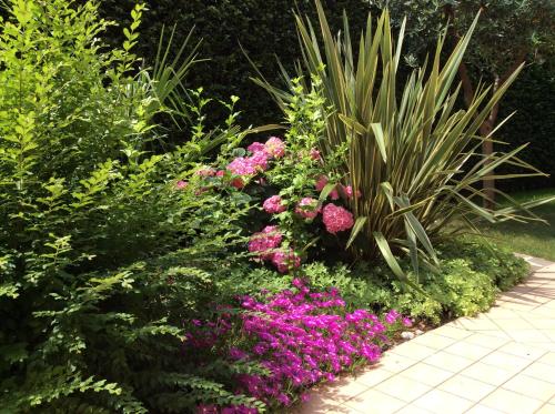 a garden with pink flowers and green plants at B&B Desenzano Paradise in Desenzano del Garda