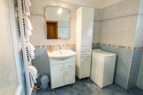 a bathroom with a sink and a mirror at Tylova Apartments in Kutná Hora