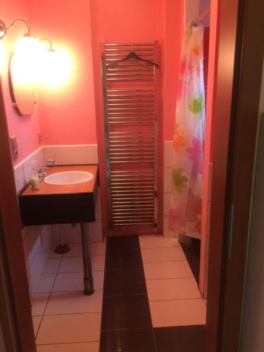 a bathroom with a sink and a shower at Chata u rybníka in Mšecké Žehrovice