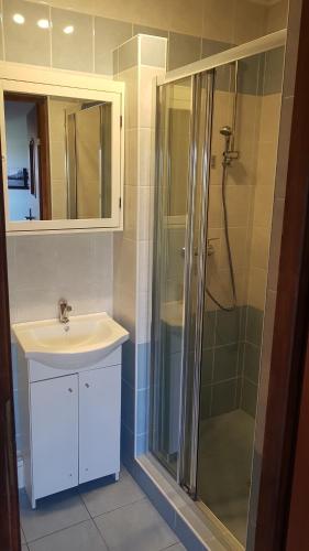 a bathroom with a sink and a shower at Pensjonat Morfeusz in Sianozety