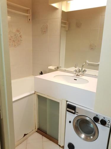 baño pequeño con lavabo y lavadora en Boost Your Immo Vars Le Melezen 36 en Vars