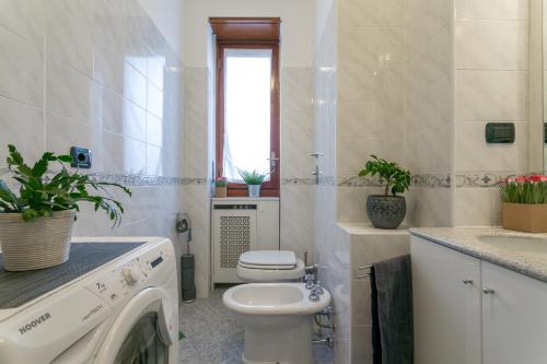 Violet Home - Loreto