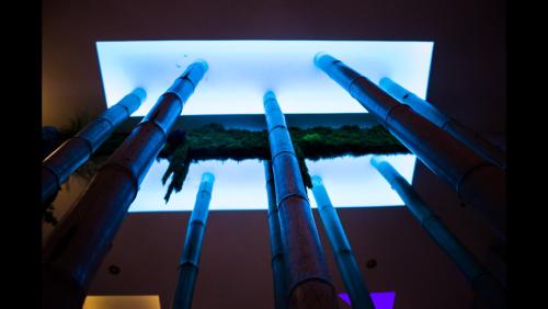 a group of bamboo poles leaning against a wall at B&B Villa sensorielle in Nice
