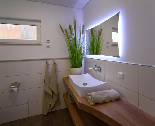 a bathroom with a sink and a mirror at PETIT-CHALET AM HAINER SEE in Rötha