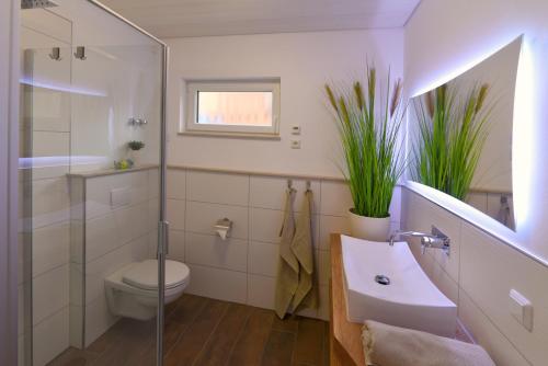 a bathroom with a toilet and a sink and a shower at PETIT-CHALET AM HAINER SEE in Rötha