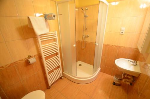 a bathroom with a shower and a toilet and a sink at Salas-Partizanske in Partizánske