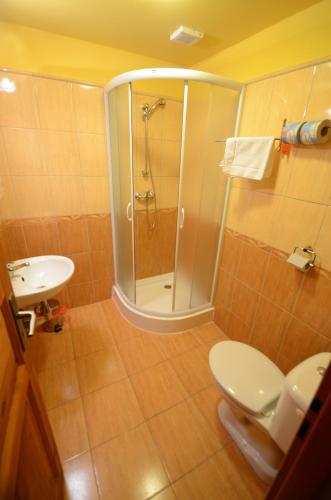 a bathroom with a shower and a toilet and a sink at Salas-Partizanske in Partizánske