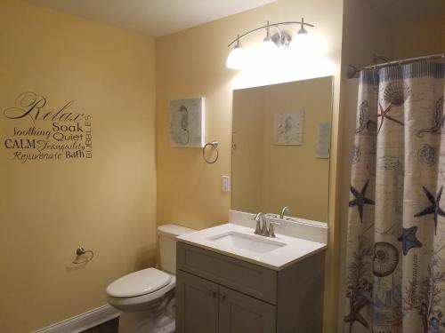 a bathroom with a sink and a toilet and a mirror at Put-in-Bay Waterfront Condo #207 in Put-in-Bay