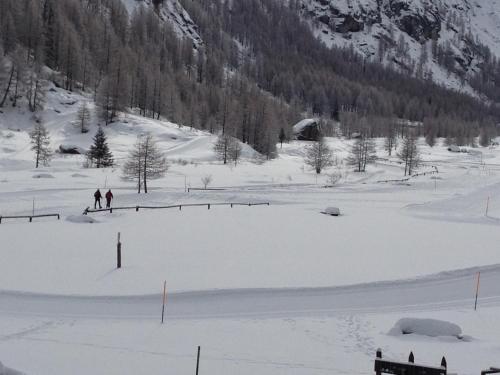 Gallery image of Albergo Gran Paradiso in Valsavarenche